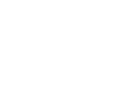 amada-logo-white